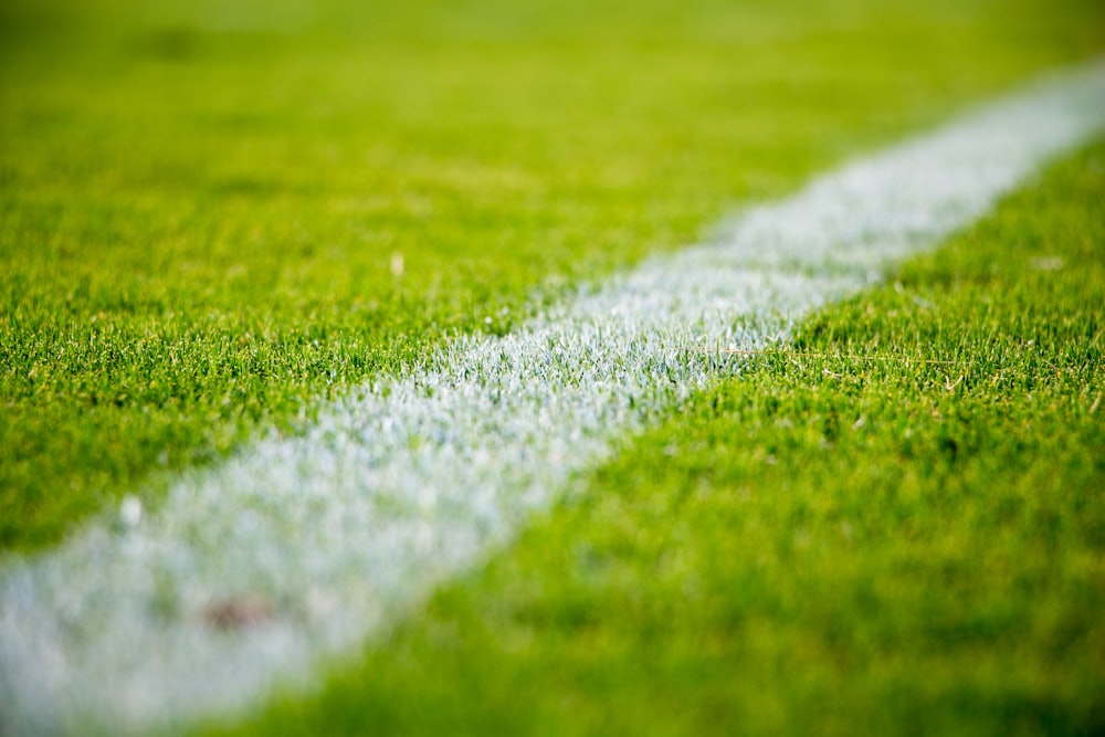 Packed stadium crowd during a match - FIFA World Cup 2026 coverage